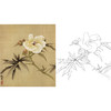 俞致贞工笔花鸟白描底稿-秋葵花《秋葵》-斗方小品册页-JV22 商品缩略图0