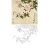 俞致贞工笔花鸟白描底稿-牵牛花-斗方小品册页-JV14 商品缩略图0