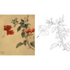 俞致贞工笔花鸟白描底稿-《扶桑》-斗方小品册页-JV19 商品缩略图0