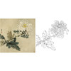 俞致贞工笔花鸟白描底稿-菊花-斗方小品册页-JV20 商品缩略图0
