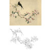 俞致贞工笔花鸟白描底稿-海棠花《西府海棠》-斗方小品册页-JV25 商品缩略图0