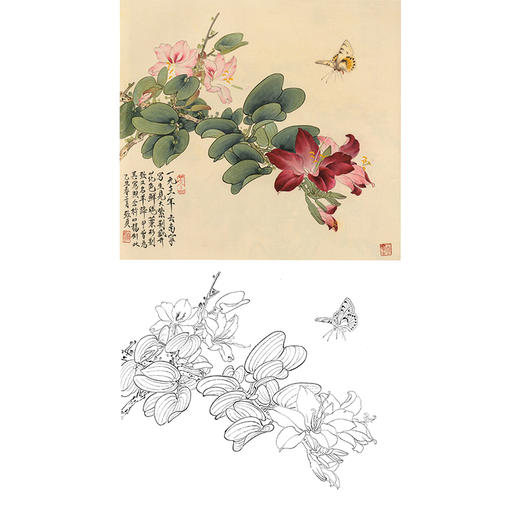 俞致贞工笔花鸟白描底稿-紫荆花《大紫荆蝴蝶》-斗方小品册页-JV17 商品图0