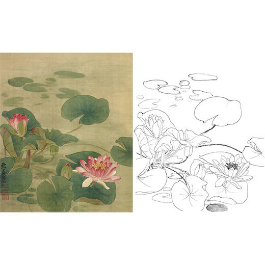 俞致贞工笔花鸟白描底稿-荷花莲花《睡莲》-斗方小品册页-JV24 商品图0