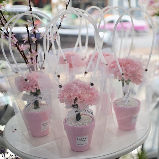 康乃馨小花盆 商品图0