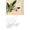 俞致贞工笔花鸟白描底稿-兰花《卡特兰》-斗方小品册页-JV13 商品缩略图0
