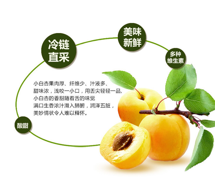 【全国顺丰包邮】新疆库车小白杏 预售6月初发货(2kg)