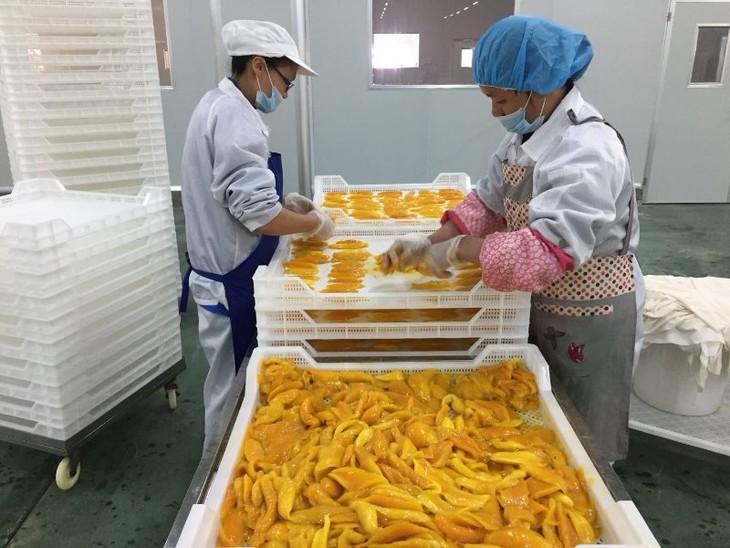 广西金冠芒果干 高甜芒果原味 不是白糖香精味 随身小零食