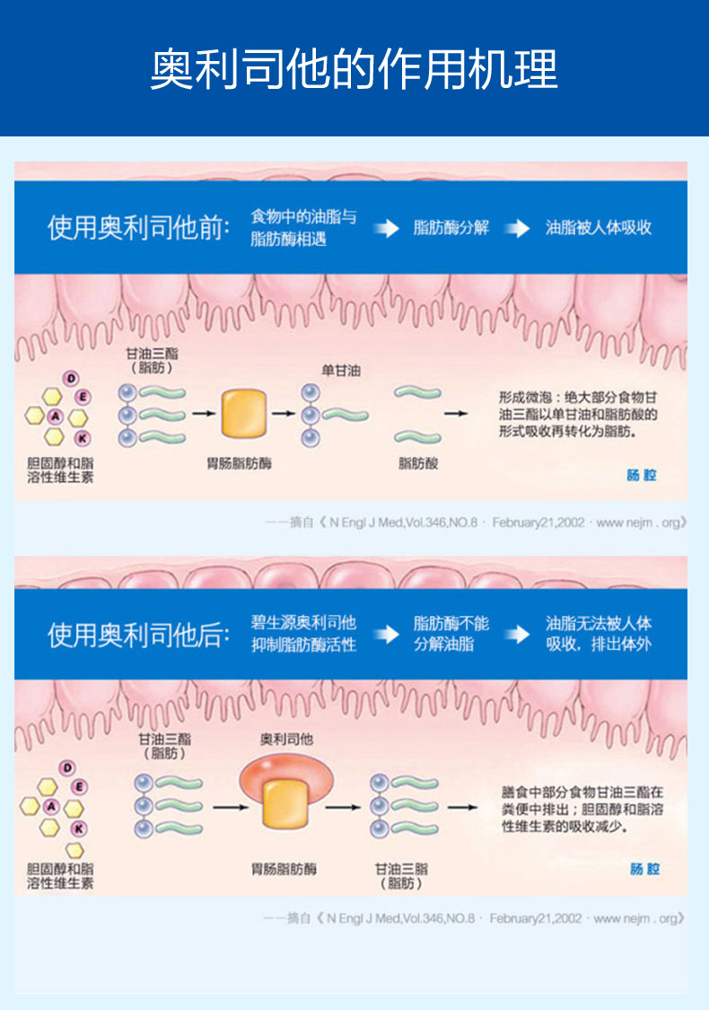 碧生源 奥利司他胶囊 0.12g*8粒 肥胖人群超重排油减脂减肥药