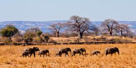 Tanzania ｜坦桑尼亚云中孤旅 8.19 通行版