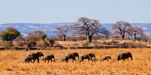 Tanzania ｜坦桑尼亚云中孤旅 8.19 通行版 商品图0