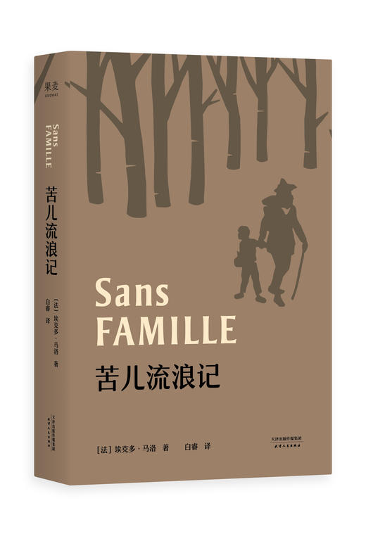 苦儿流浪记 正版包邮 全译本 推荐书目 法国图书馆精选馆藏版本权威译本 流传百年世界儿童文学经典 果麦图书 商品图0
