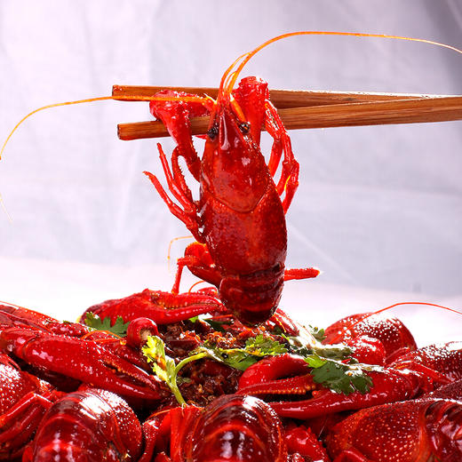 【限量300份】红功夫小龙虾爆款麻辣味开袋即食爽翻天！（顺丰包邮） 商品图2