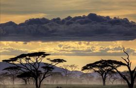 Tanzania ｜火山星语.坦桑尼亚
