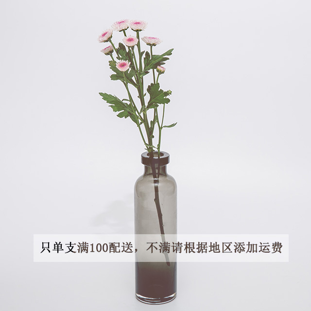 小雏菊 马蒂斯