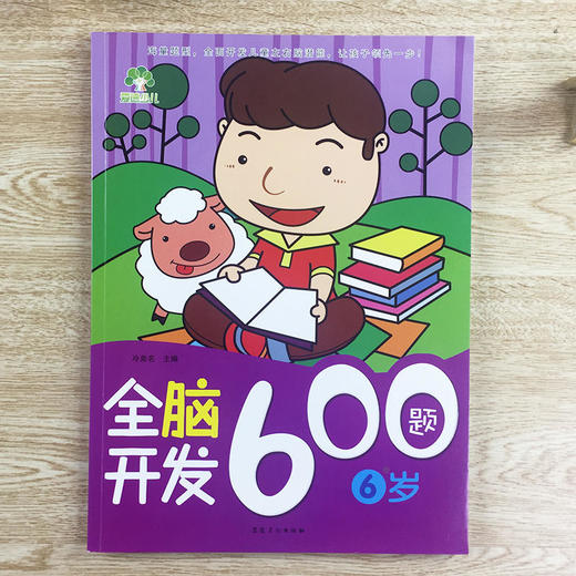 爱德少儿：全脑开发600题 6岁 益智启蒙左右脑思维训练潜能开发题库 适合6-8岁儿童使用 商品图0