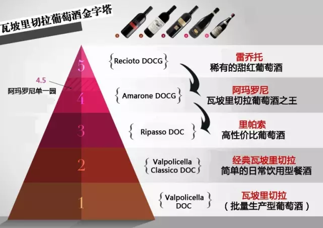 4,雷乔托:比意大利"液体黄金"阿玛罗尼级别更高,更为罕见