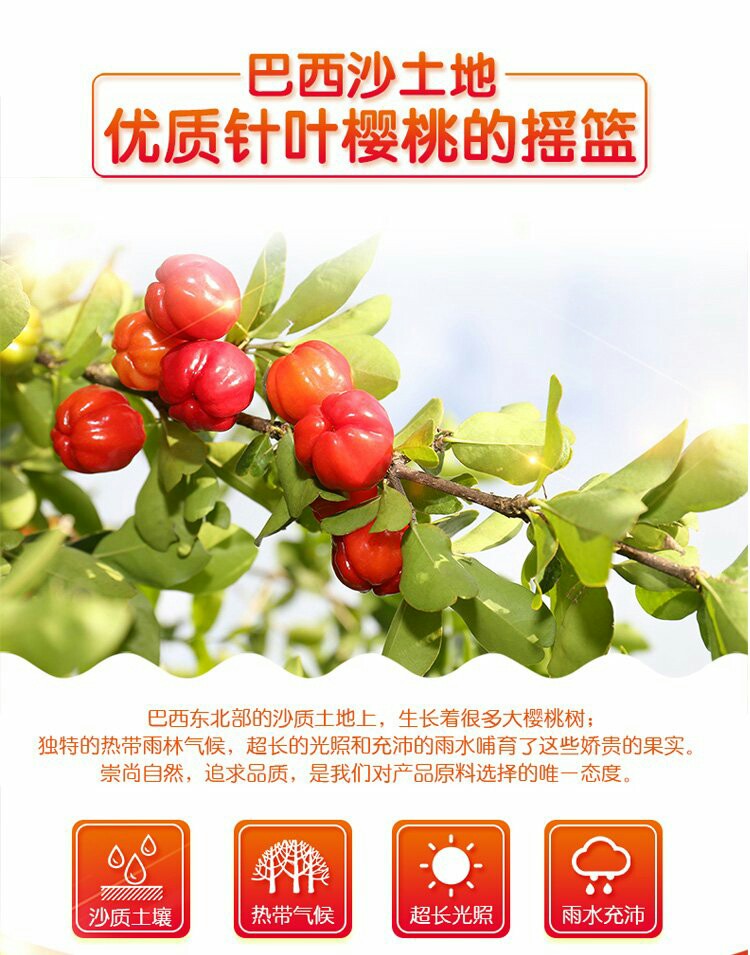 是康西印度樱桃C粉