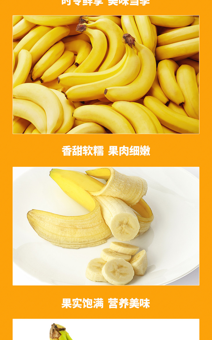 【新鲜季】漳州天宝香蕉banana新鲜香蕉青香蕉无催熟剂 收到自行催熟