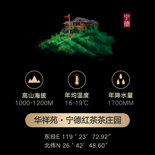 华祥苑 儒士 红茶 10罐装 商品图3