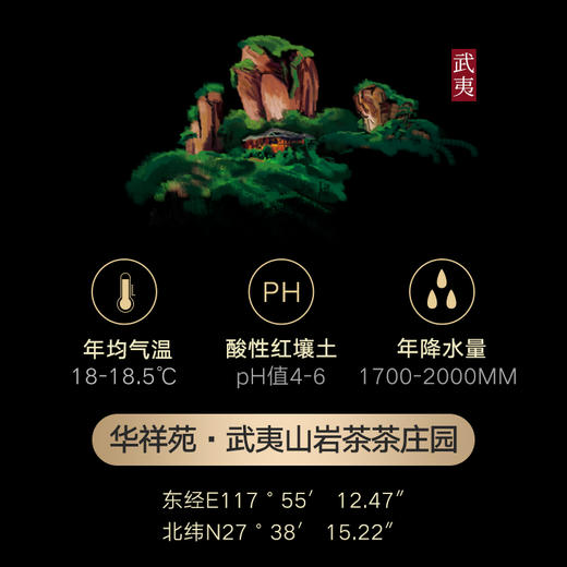 华祥苑 儒士 武夷大红袍 10罐装 商品图3