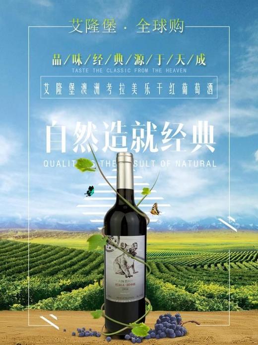 【澳洲】考拉西拉干红葡萄酒 商品图0
