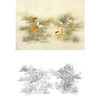 白描底稿-工笔花鸟-百蝶图之四-俞致贞-BH04 商品缩略图0