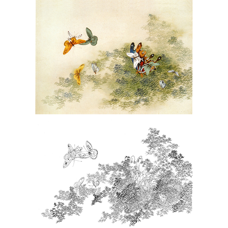 白描底稿-工笔花鸟-百蝶图之三-俞致贞-bh03