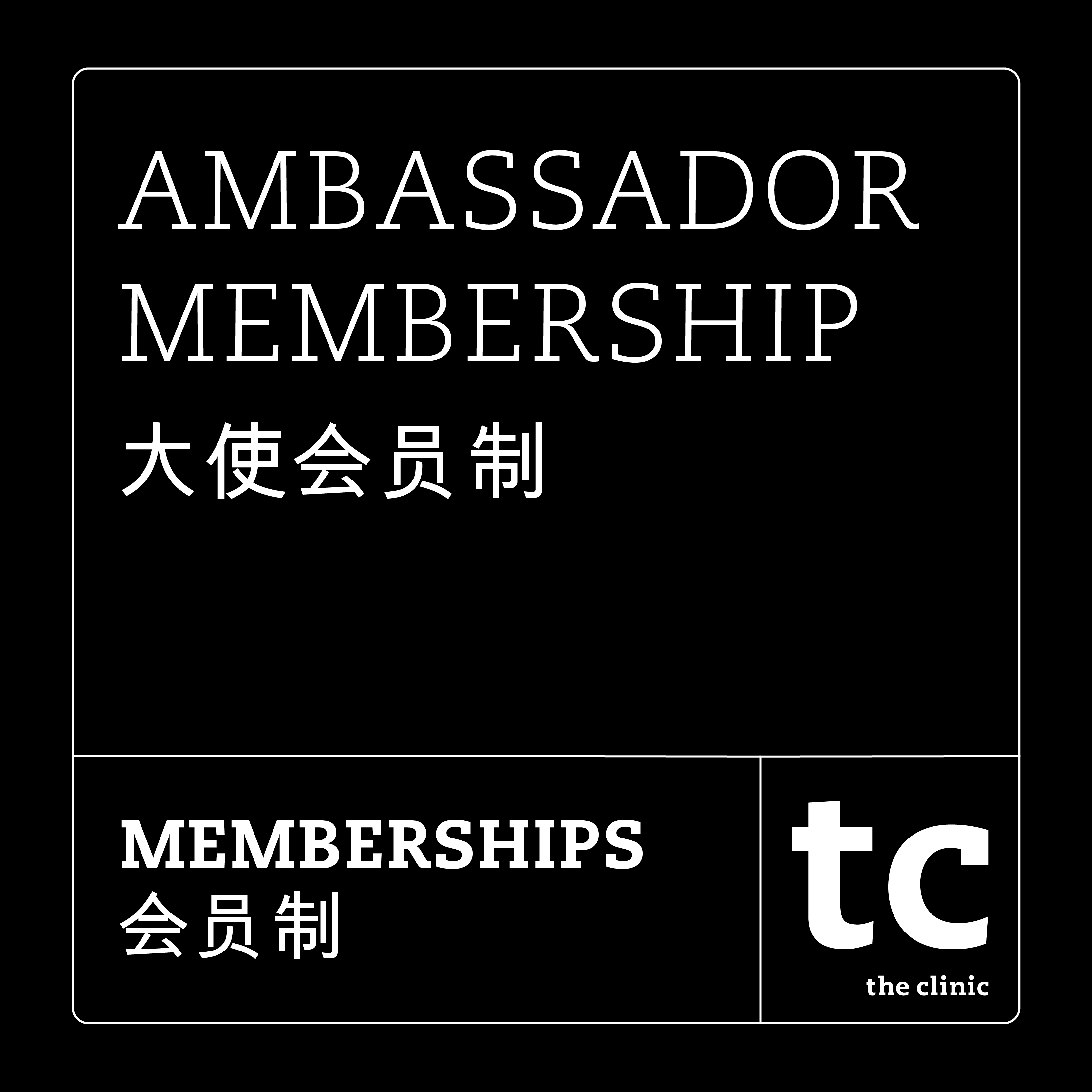 AMBASSADOR / 大使