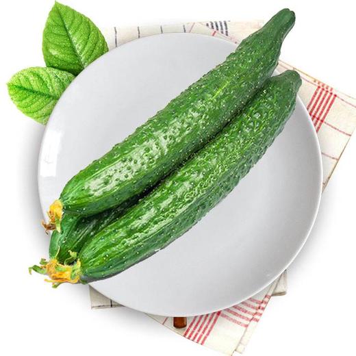 【百汇到家】黄瓜 商品图3