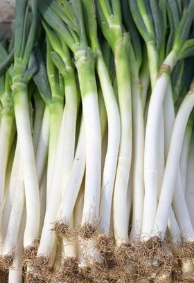 【百汇到家】大葱