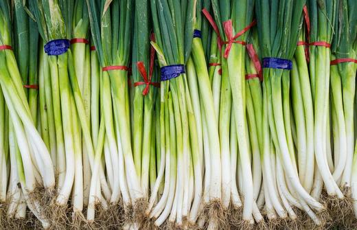 【百汇到家】大葱 商品图1