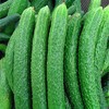 【百汇到家】黄瓜 商品缩略图1