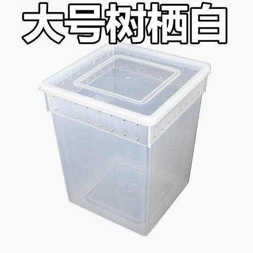 Reptile Structure-爬结构 爬虫爬宠蜘蛛守宫蜥蜴蝎子蜈蚣角蛙龟蜗牛饲养盒宠物蛇饲养箱包邮-分销 商品图4