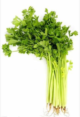 【百汇到家】水芹