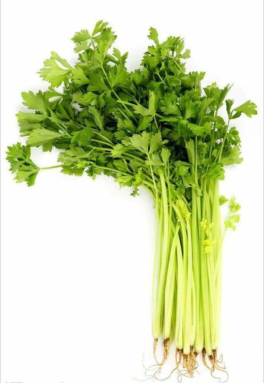 【百汇到家】水芹 商品图0