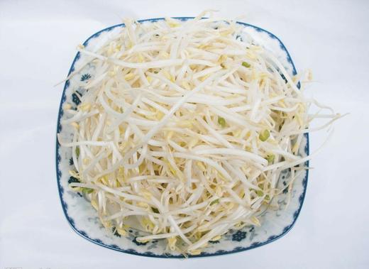 【百汇到家】绿豆芽（每斤0.99，3斤起售） 商品图0