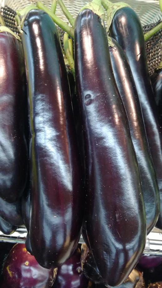 【百汇到家】长茄子（2斤起售） 商品图0