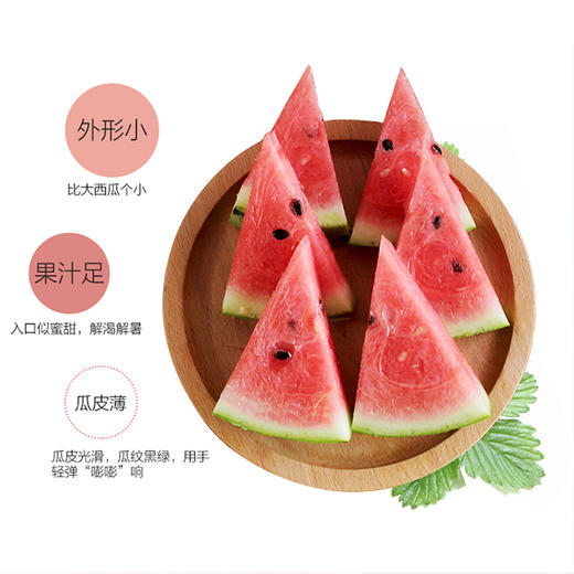 麒麟西瓜清脆甘甜汁多籽少【江浙沪皖顺丰包邮】 商品图3