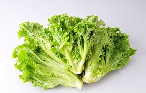 【百汇到家】生菜 商品图0