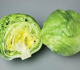 【百汇到家】生菜球