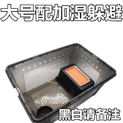 Reptile Structure-爬结构 爬虫爬宠蜘蛛守宫蜥蜴蝎子蜈蚣角蛙龟蜗牛饲养盒宠物蛇饲养箱包邮-分销 商品图13