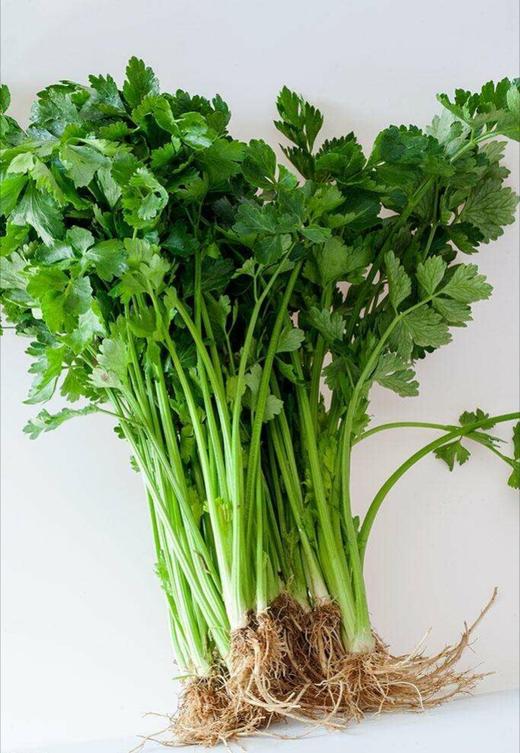 【百汇到家】水芹 商品图2