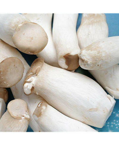 【百汇到家】杏鲍菇 商品图0