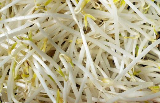 【百汇到家】绿豆芽（每斤0.99，3斤起售） 商品图1