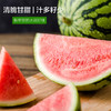 麒麟西瓜清脆甘甜汁多籽少【江浙沪皖顺丰包邮】 商品缩略图1