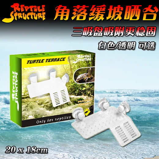 Reptile Structure-爬结构 亚克力水龟晒台乌龟缸浮岛晒背灯浮爬台乌龟晒台包邮20*18大号-分销 商品图4