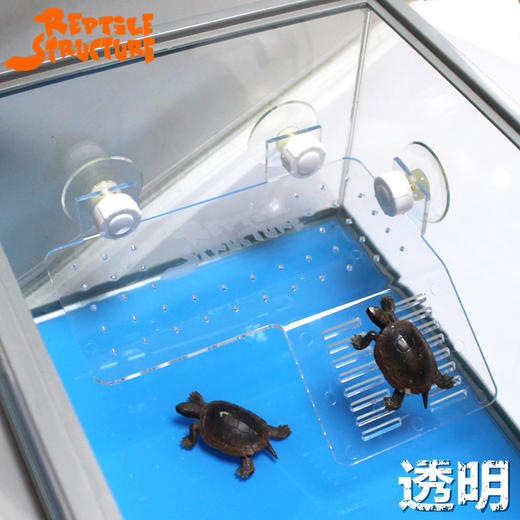 Reptile Structure-爬结构 亚克力水龟晒台乌龟缸浮岛晒背灯浮爬台乌龟晒台包邮20*18大号-分销 商品图3