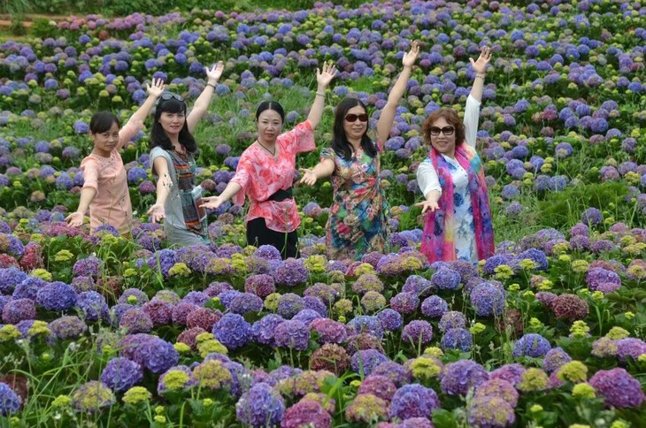 阳宗海徒步,绣球花海摄影一日活动(05月27号)