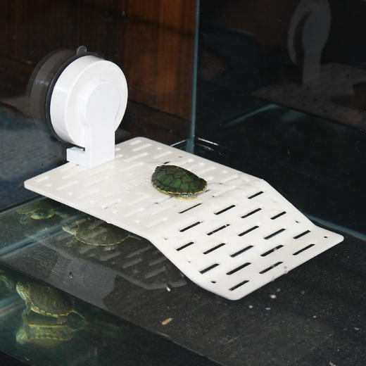 Reptile Structure-爬结构 玻璃缸水龟晒台浮台浮岛水龟缸晒背巴西地图龟小号透明特大35.5cm-分销 商品图2