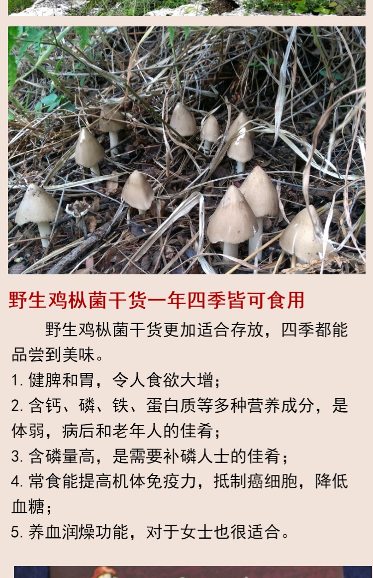 慢绿寻味纯野生鸡枞菌手工精选山珍干货土特产煲汤焖炒炖鸡香送礼礼品